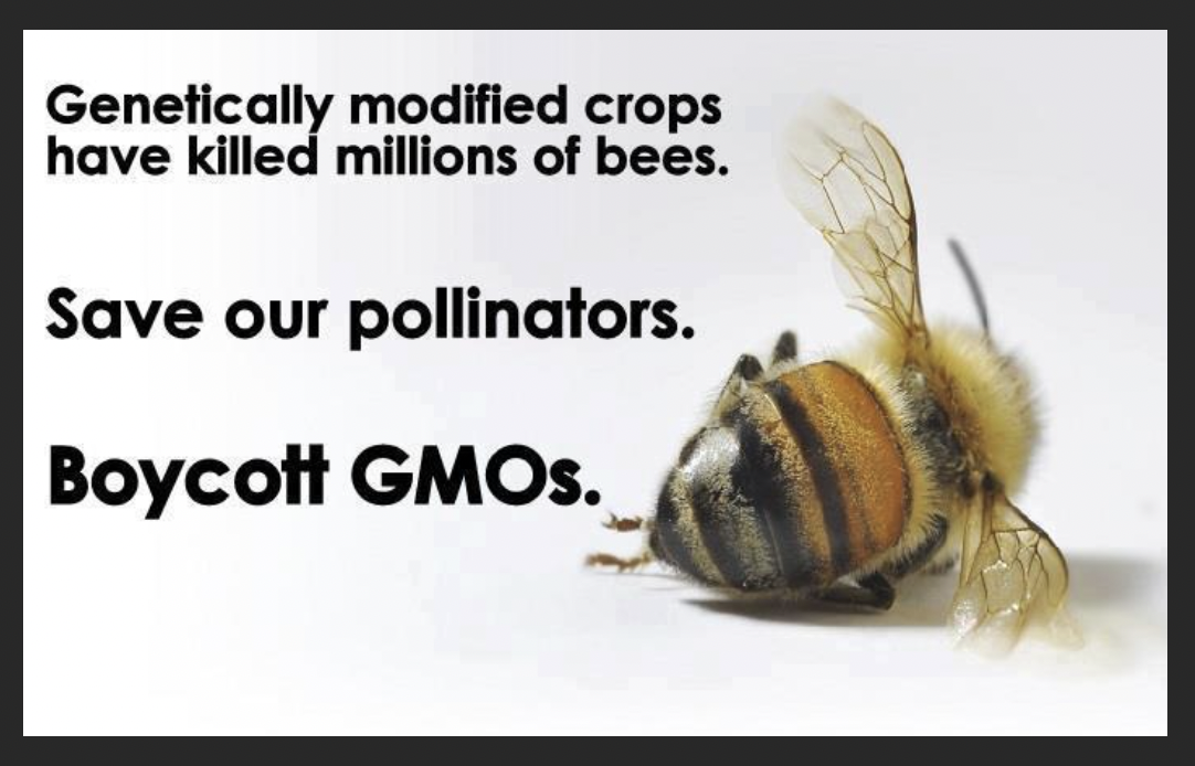 Bees and Copper Metabolism