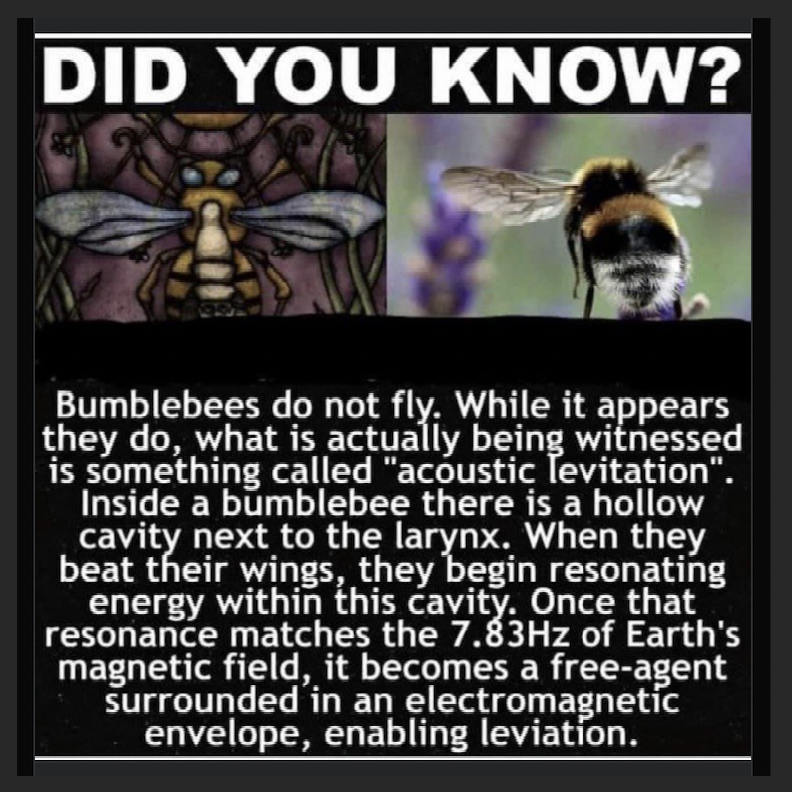 Bees and Copper Metabolism