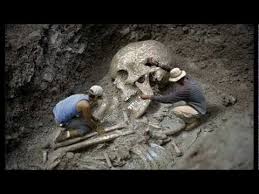 gigantic skeleton