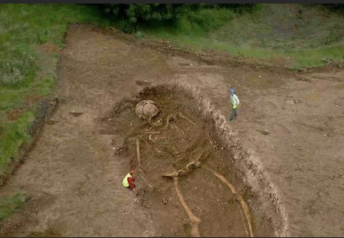 gigantic skeleton