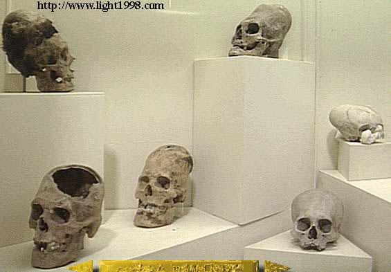 Ancient Long Heads